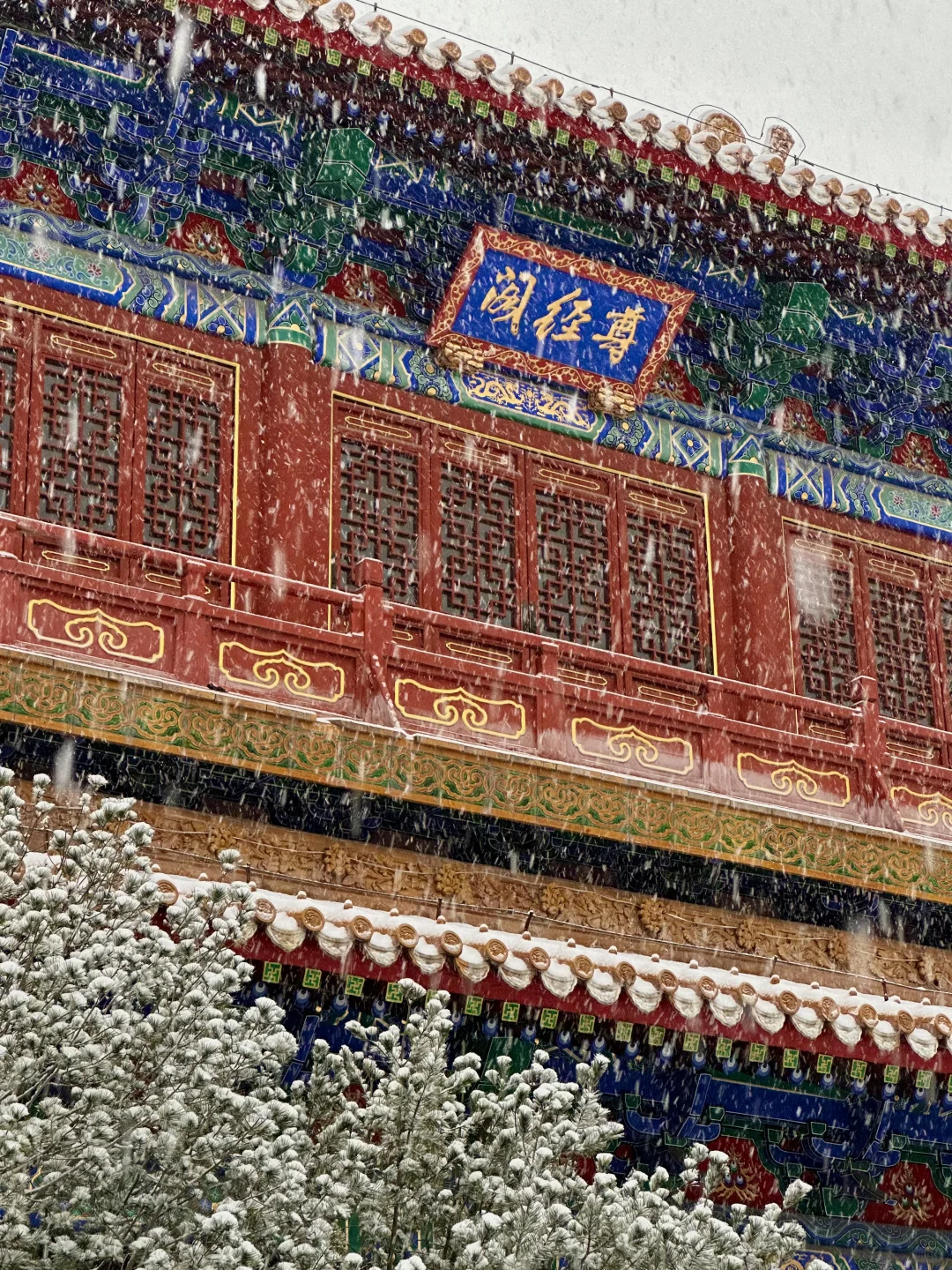 实况live！济南初雪❄️美疯了啊啊啊啊！！！！！