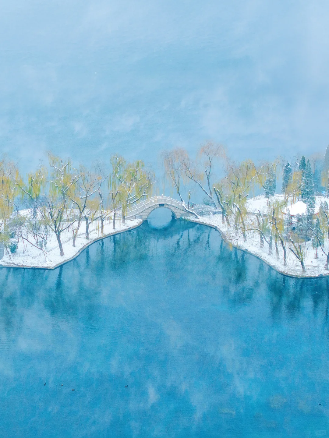 老舍没骗我❗️下雪的济南真的美疯了‼️‼️