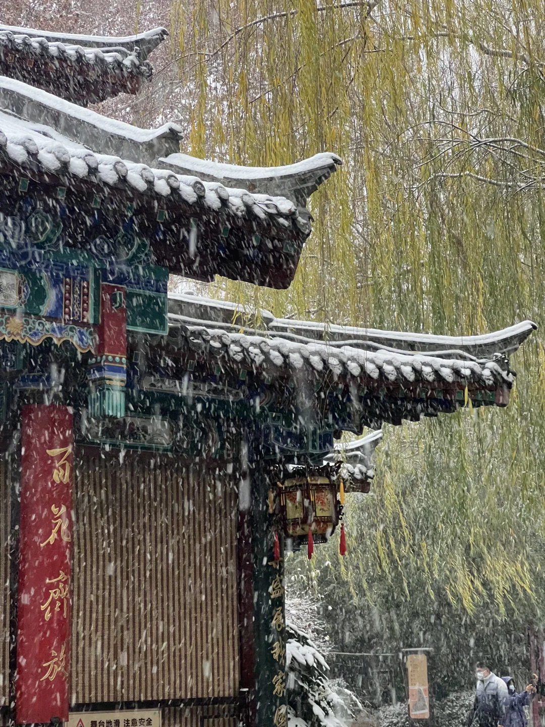 济南12.12实况。。。暴雪中的趵突泉杀疯了！！