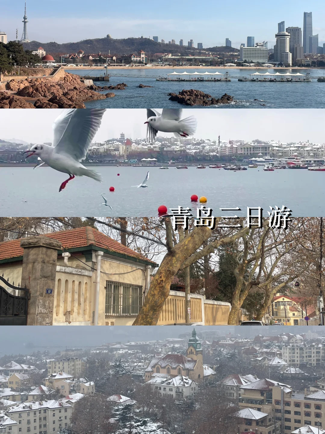 三天爱上青岛🍺