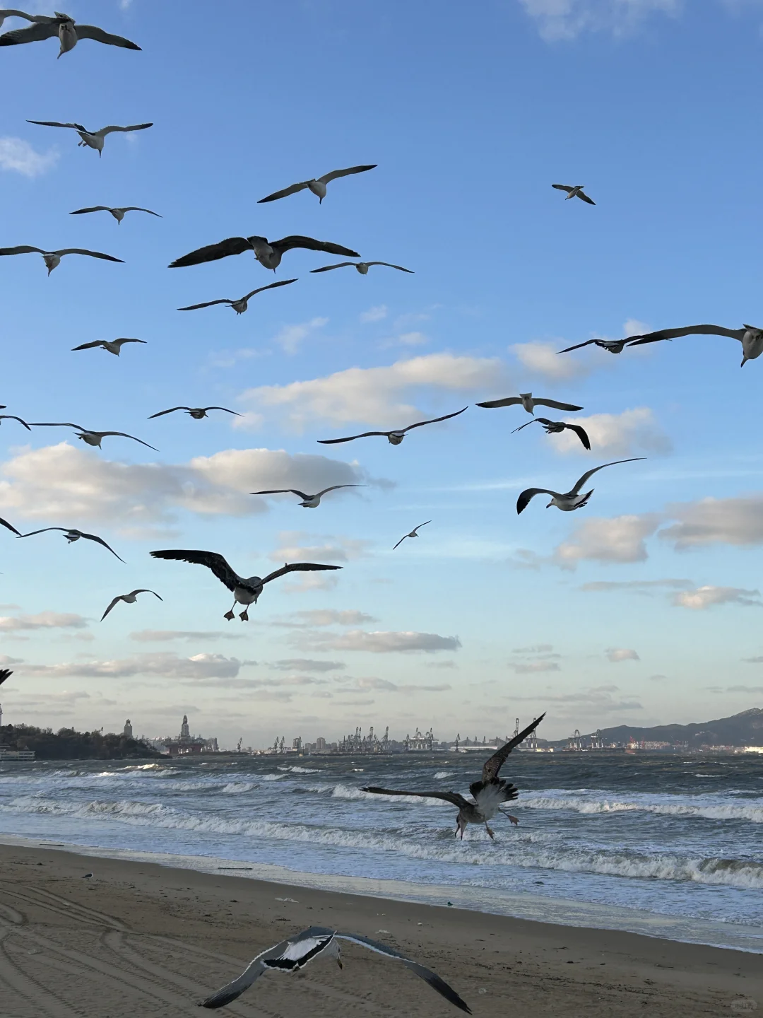 烟台！！12·11实拍！又是浪漫的一天啊