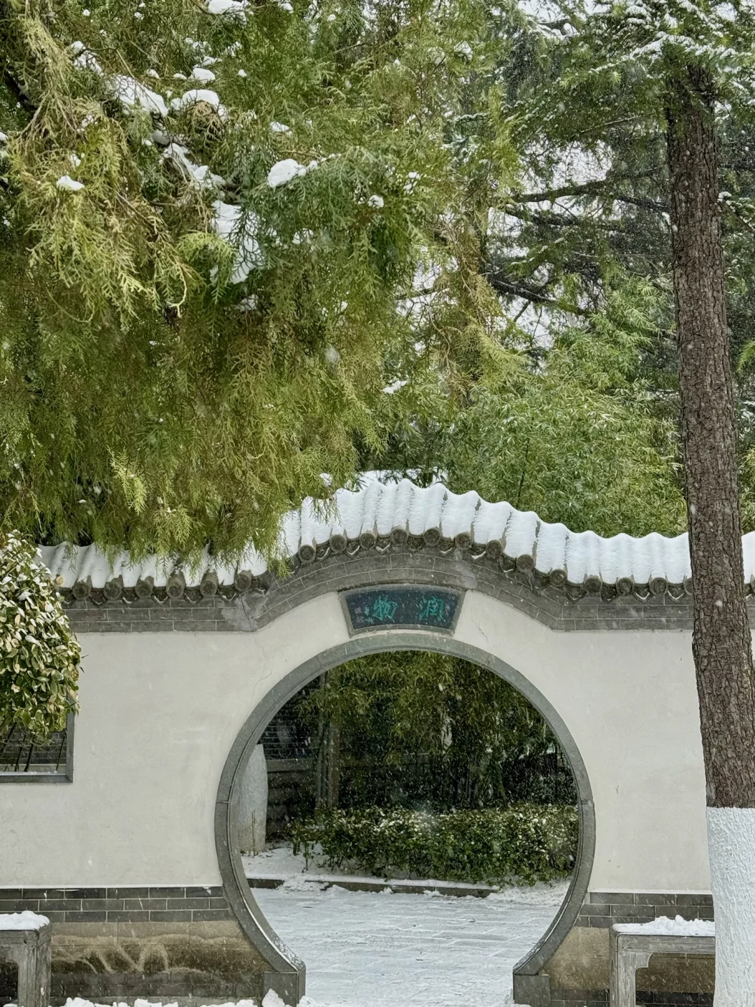 12.13实况！暴雪中的济南杀疯了！美哭😭😭😭