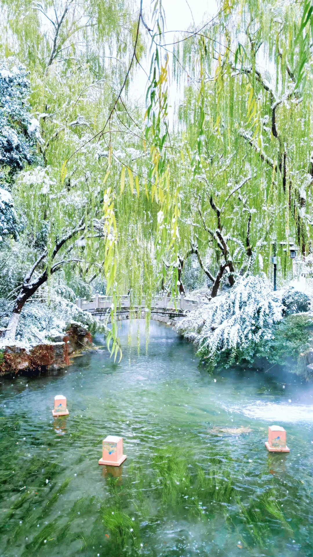 Live济南初雪！趵突泉在雪中沸腾成仙境️❄️