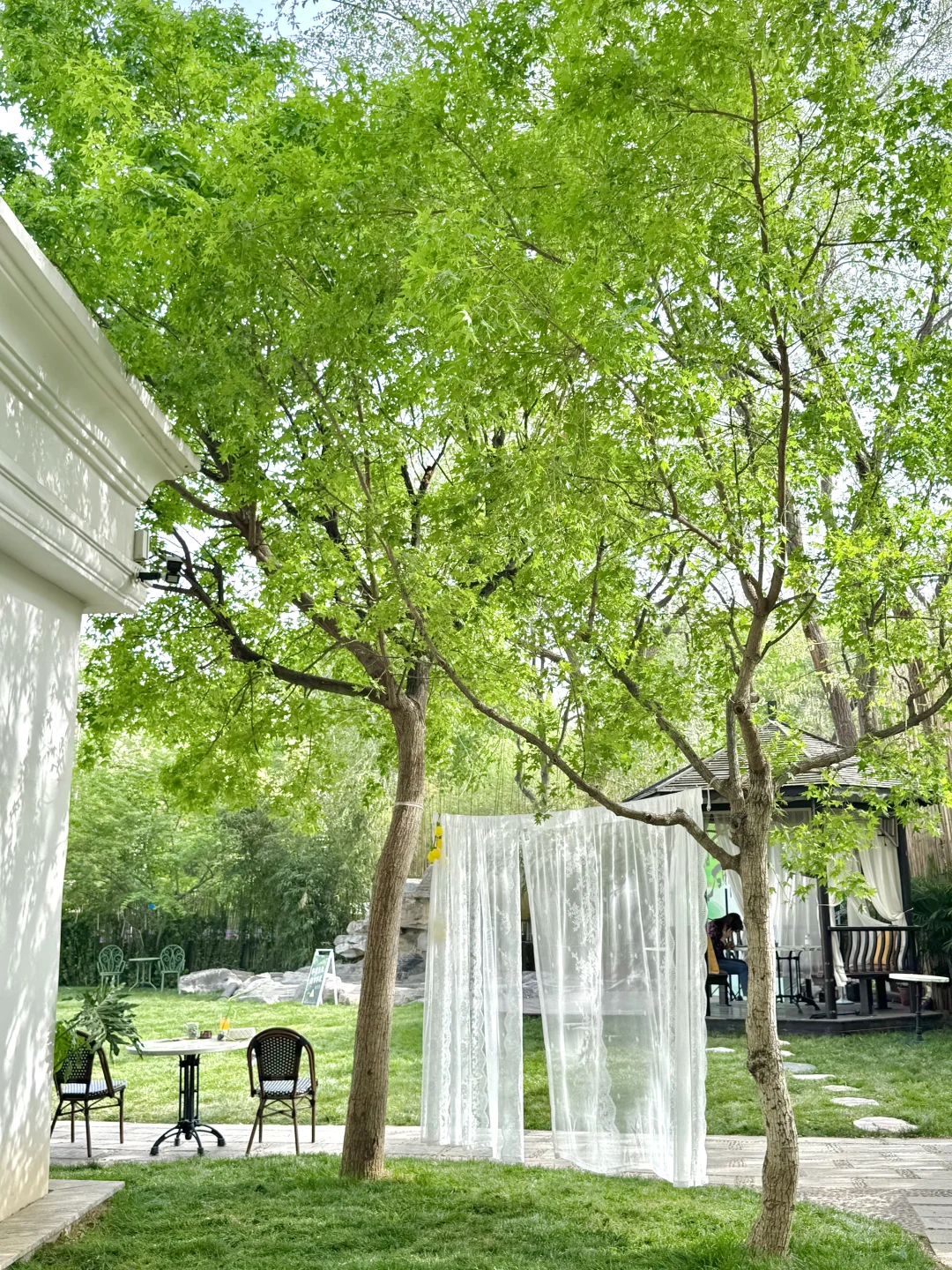 济南最chill的地方都是免费的！（Live合集）