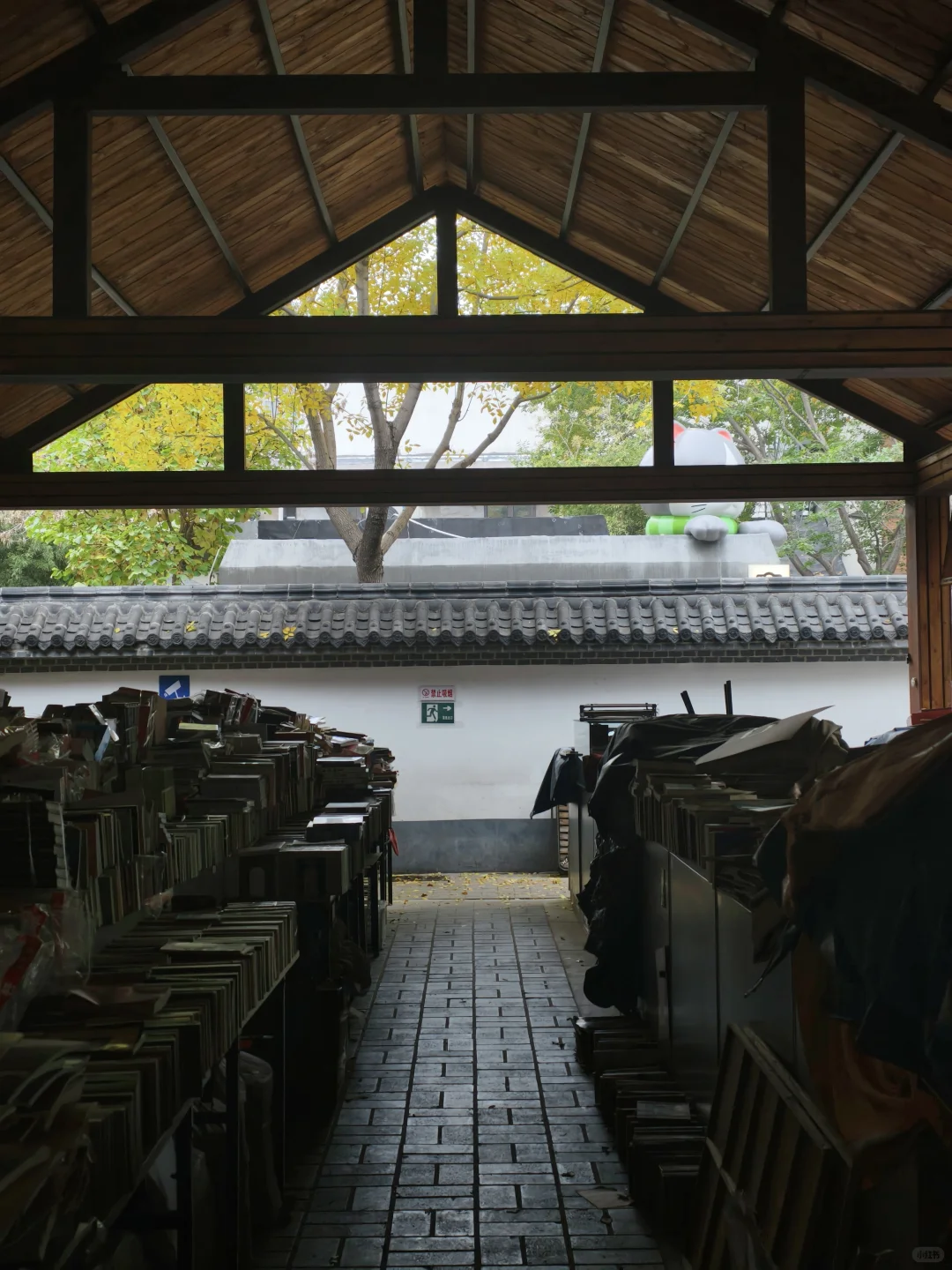 老舍没骗人秋天请到济南来看看吧