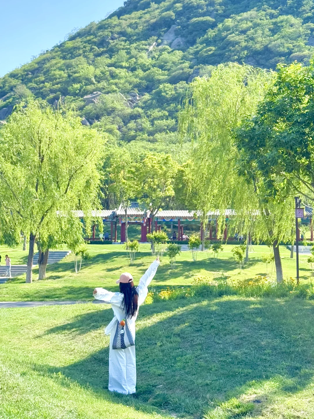 济南最chill的地方都是免费的！（Live合集）