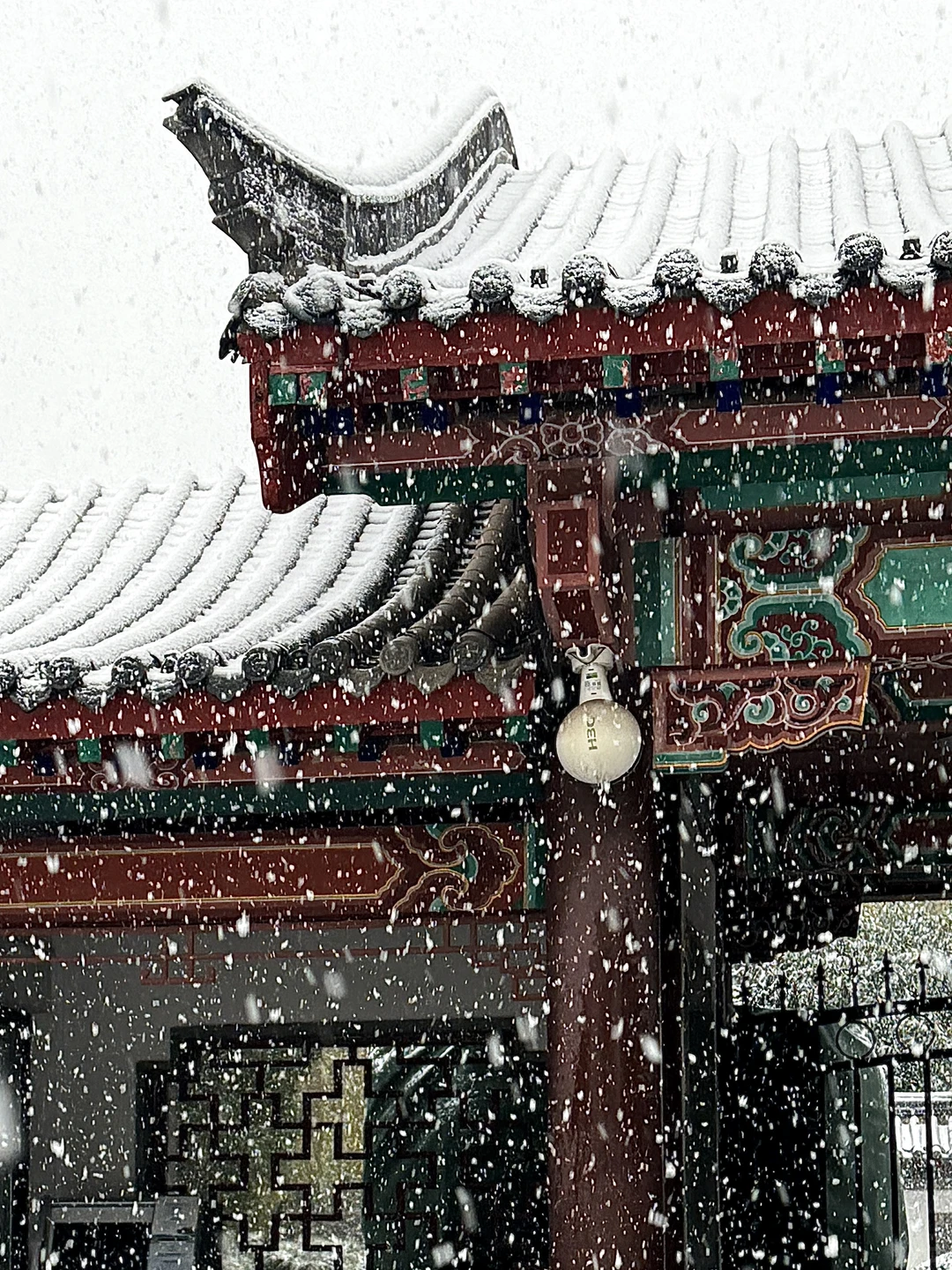 济南12.12实况，暴雪中的趵突泉已经美疯了….