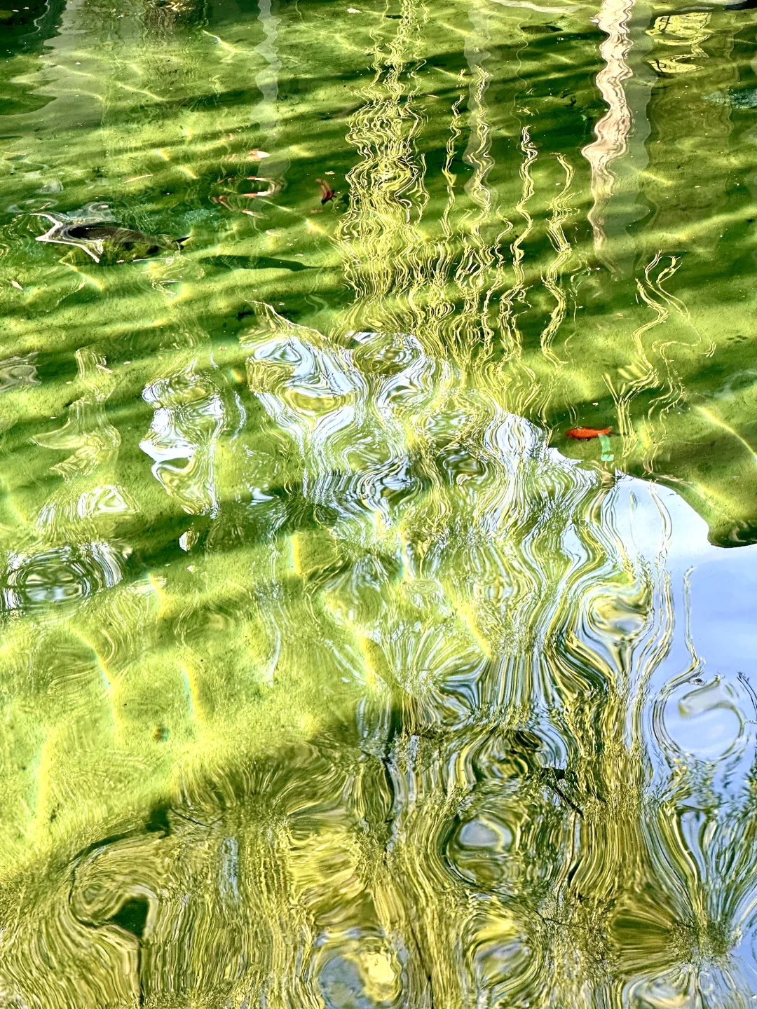 刚去完，济南两天一夜攻略🗺️