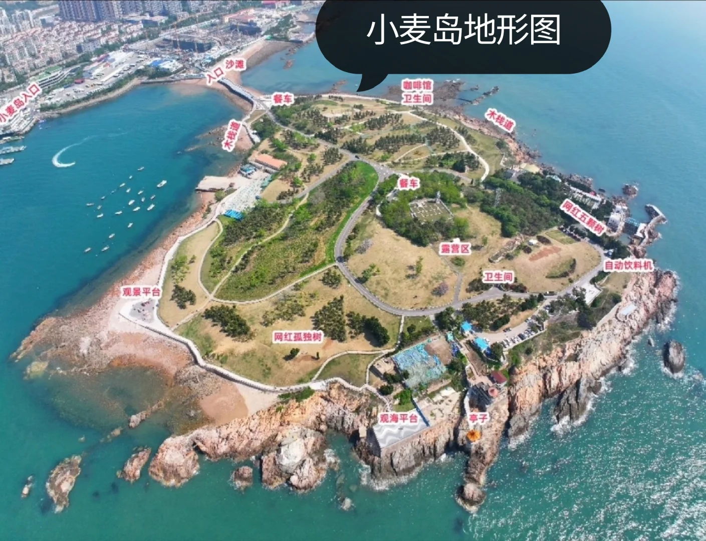 📍青岛｜去看看有海的青岛吧🌊