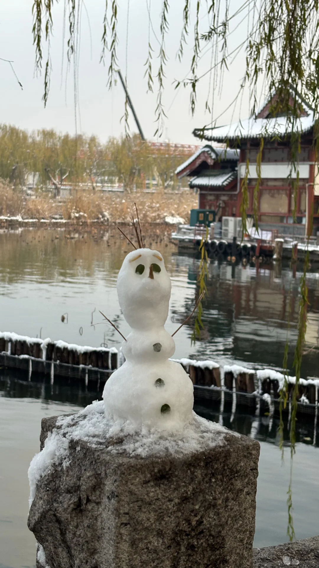 济南大明湖 大家真的太可爱了