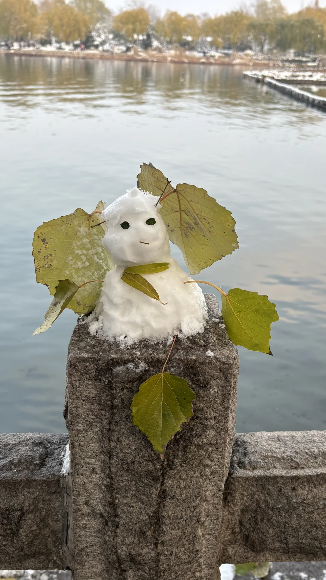 济南大明湖 大家真的太可爱了