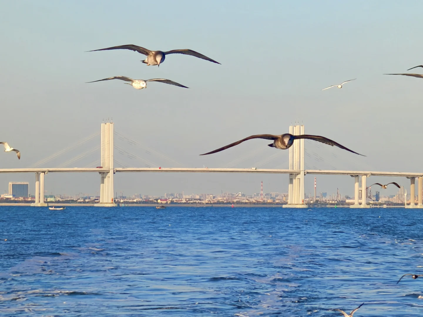 如果你只有一天时间在青岛