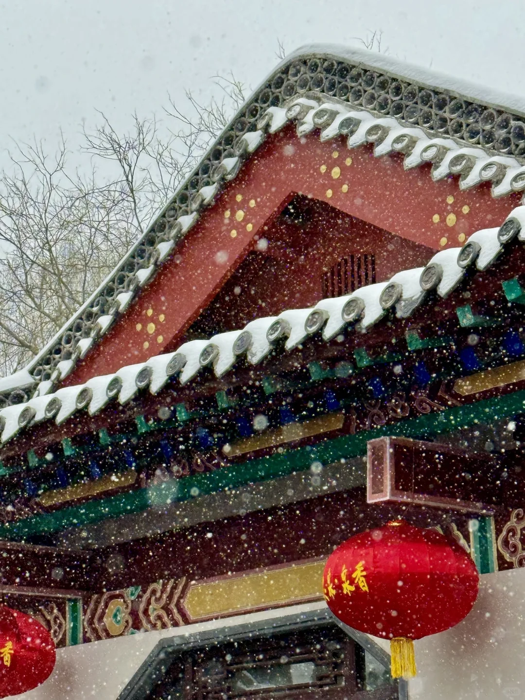 12.13实况！暴雪中的济南杀疯了！美哭😭😭😭