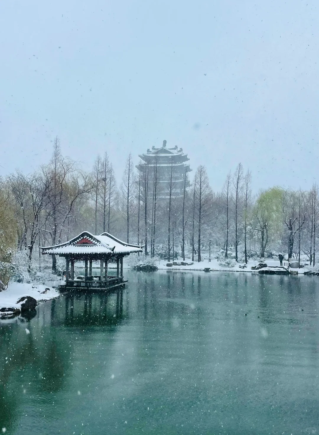 暴雪中的济南府已经美到了next level