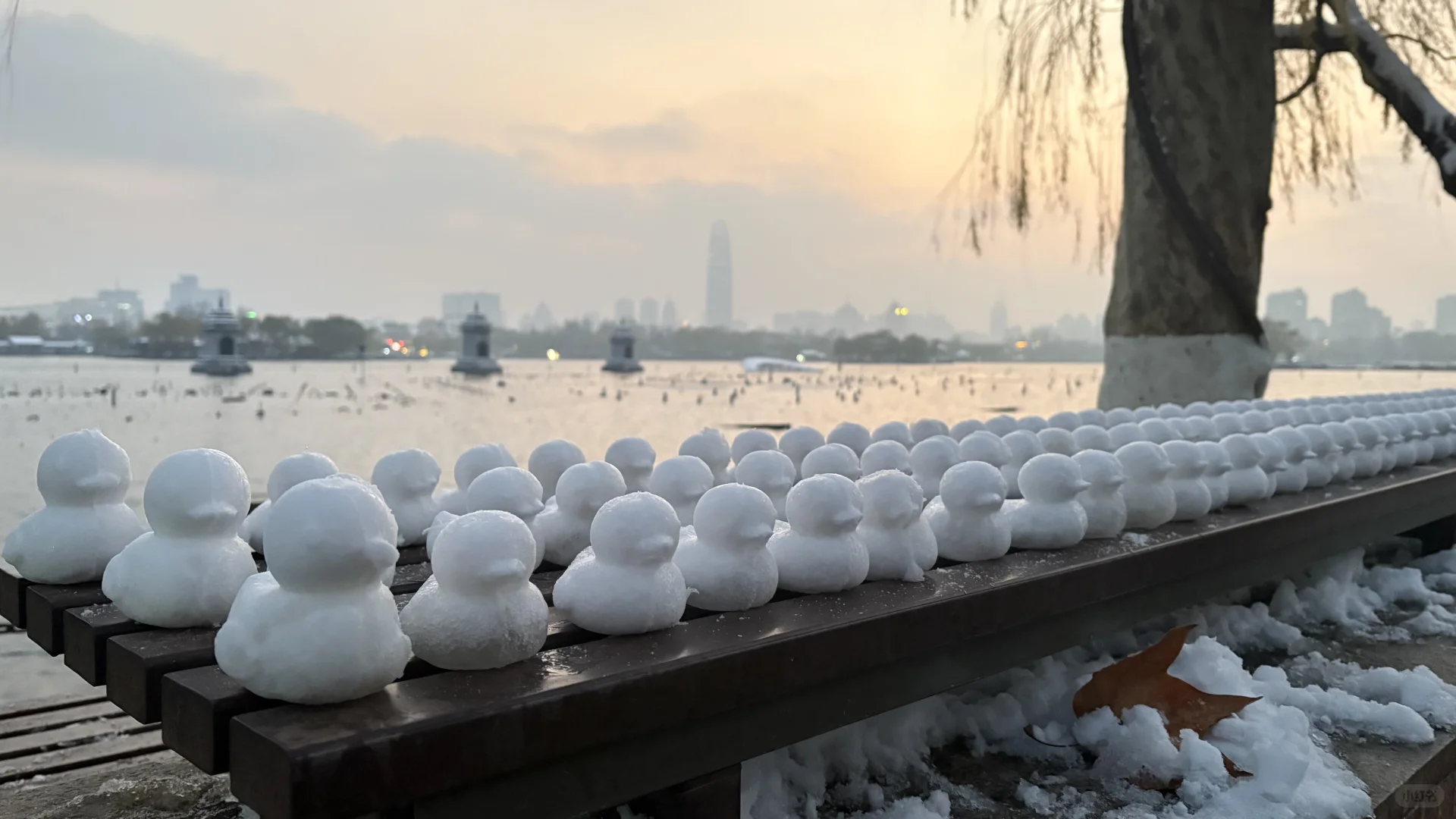 济南大明湖 大家真的太可爱了