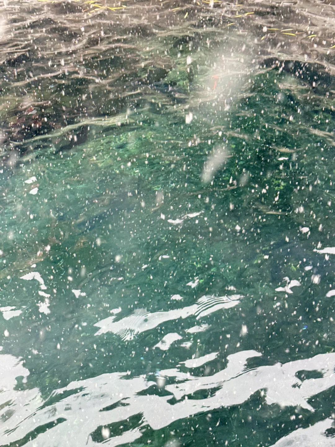 12.12 济南的初雪 杀疯了 （最全机位分享）