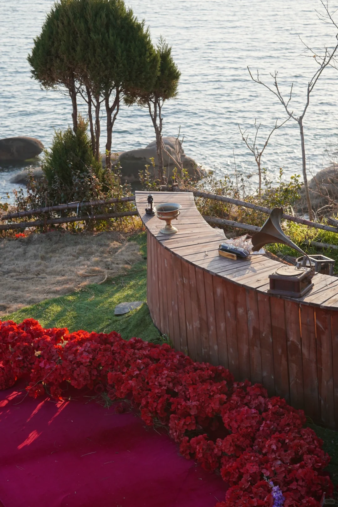 冬天一定要去一次青岛｜杭州出发周末攻略