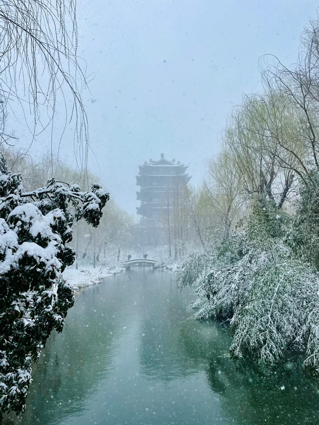 暴雪中的济南府已经美到了next level