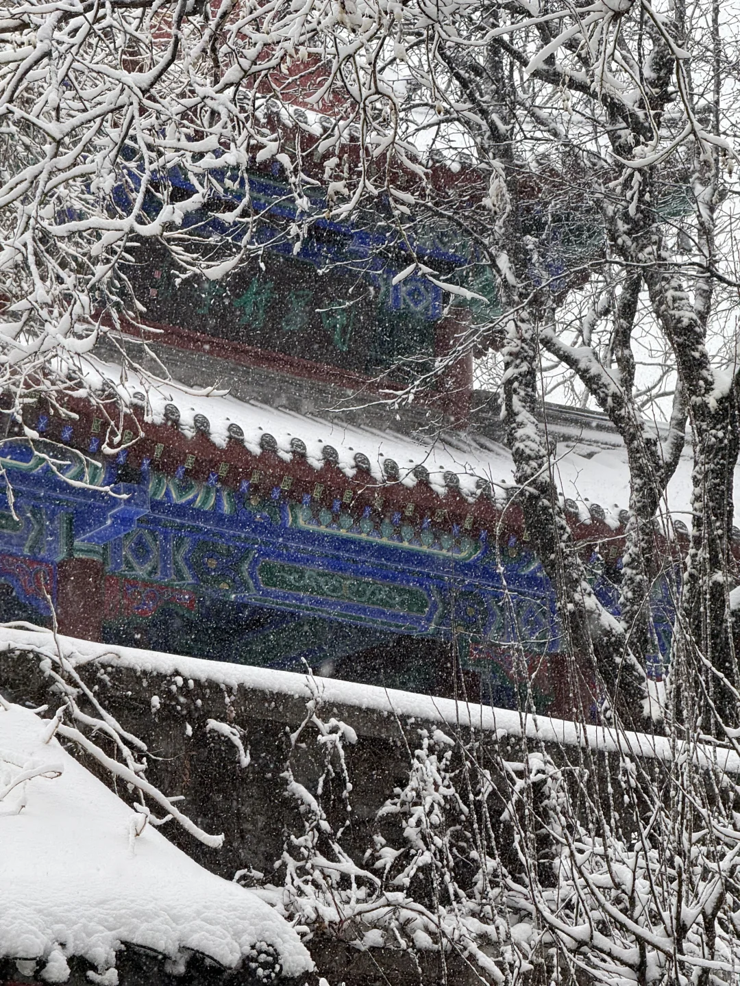 济南12.13实况，暴雪中的大明湖已经美疯了….