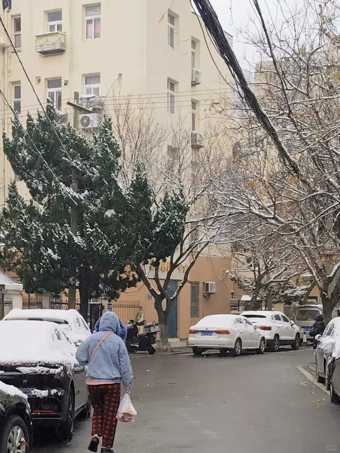 青岛天气穿衣实况❄️12月13日还在下雪~