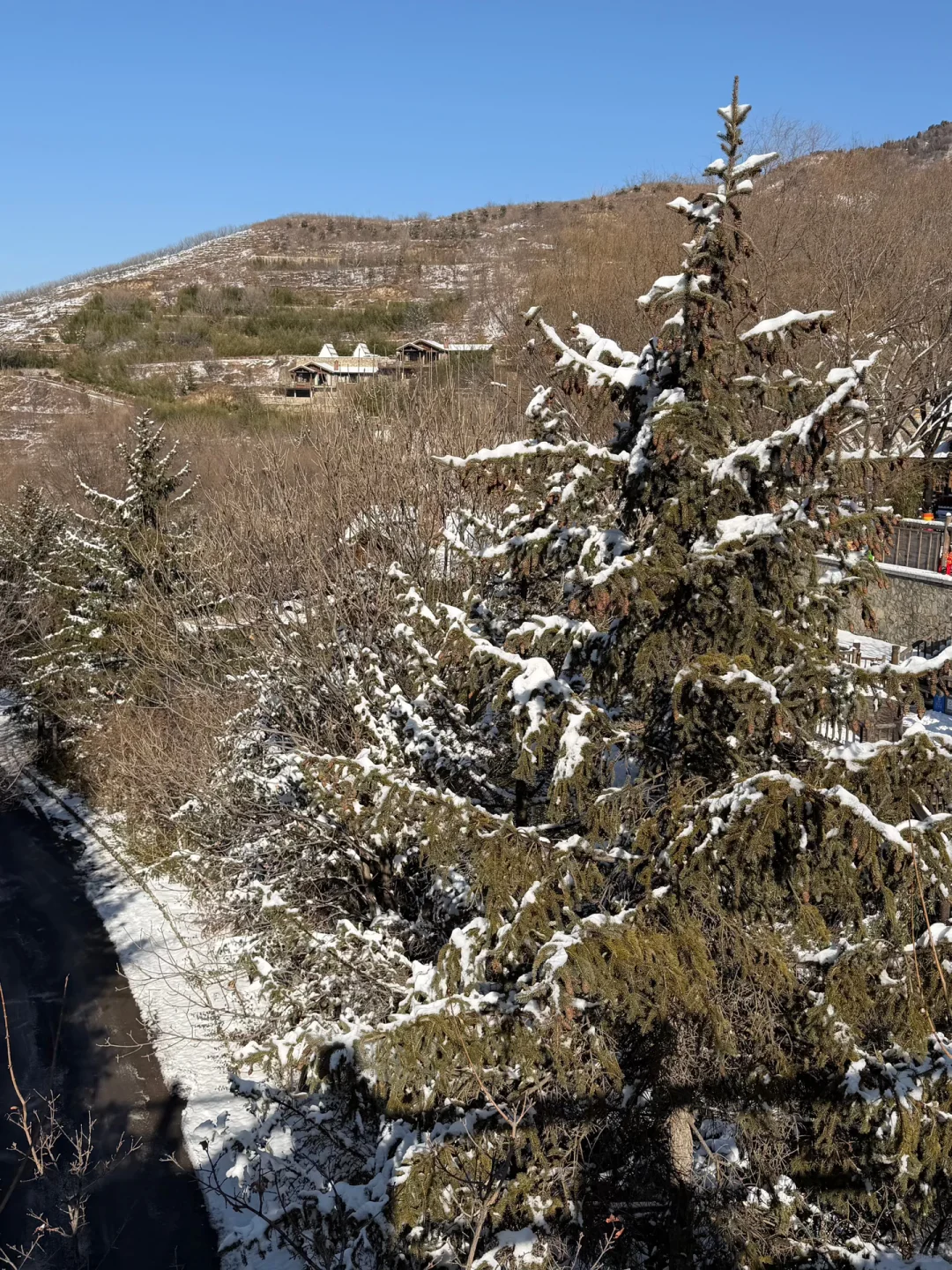 12.14九如山现状❄️
