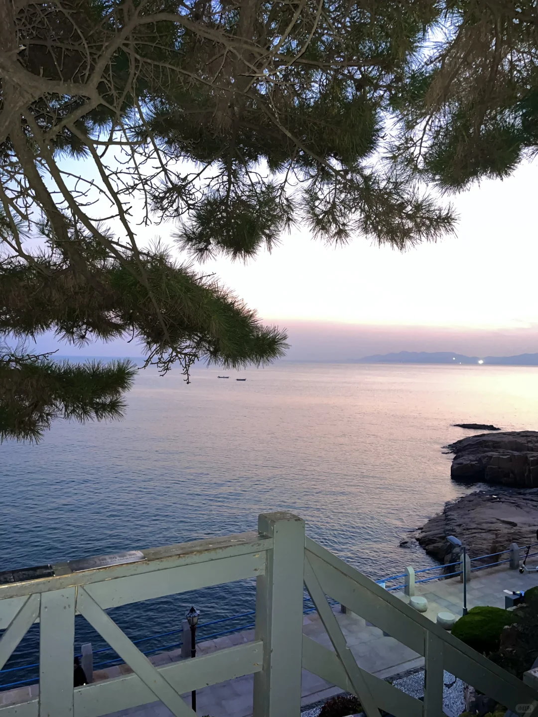 朋友圈分享｜随后我遇见了青岛的冬天