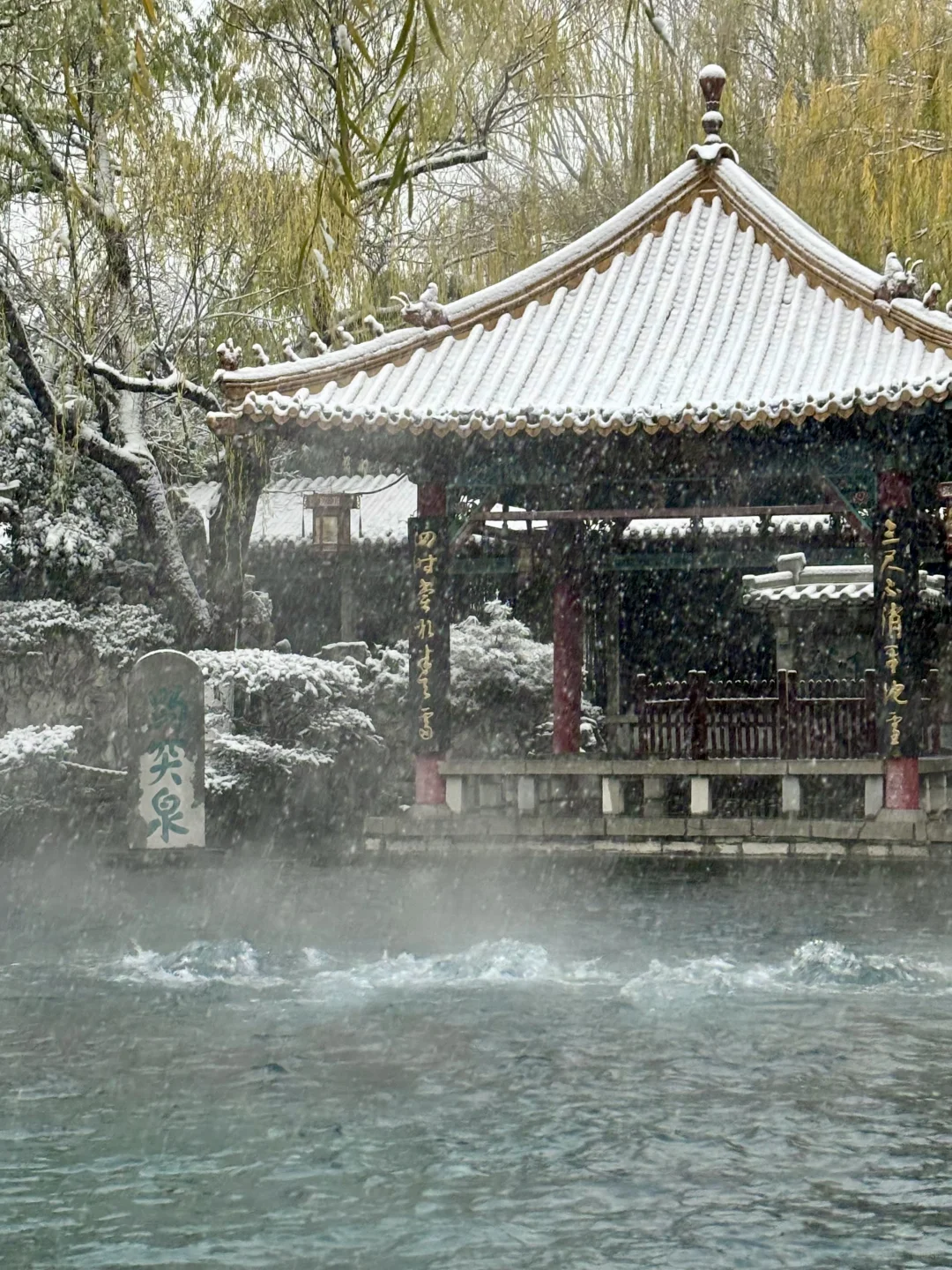 12.12趵突泉live❄️济南的初雪如约而至