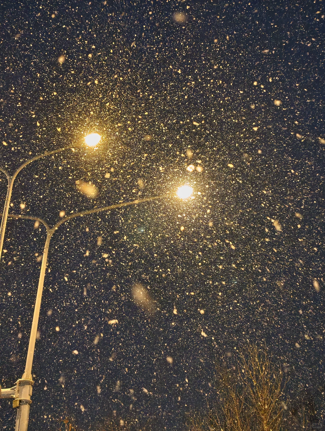 济南下雪，都拍照了吗？