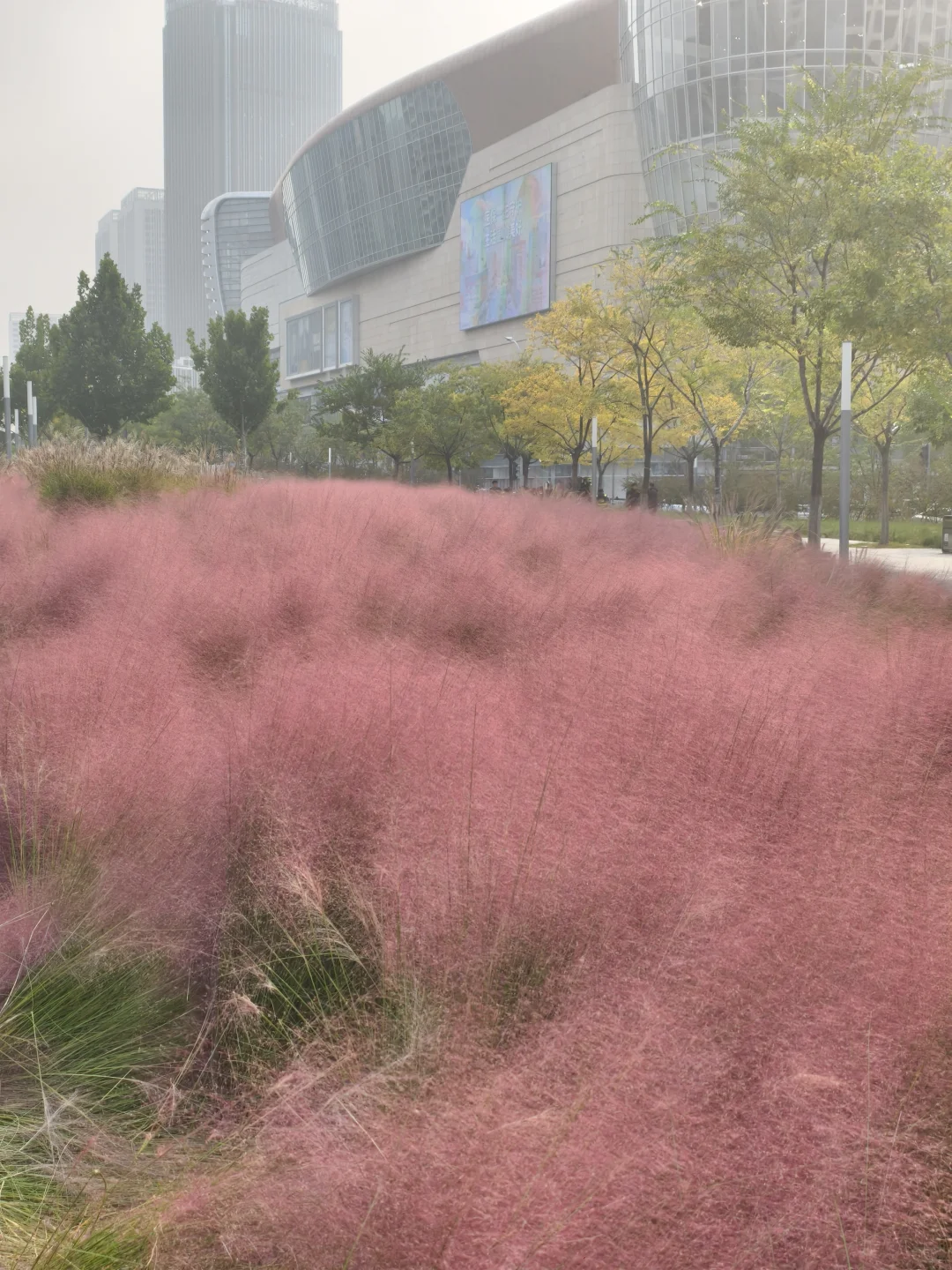 老舍没骗人秋天请到济南来看看吧