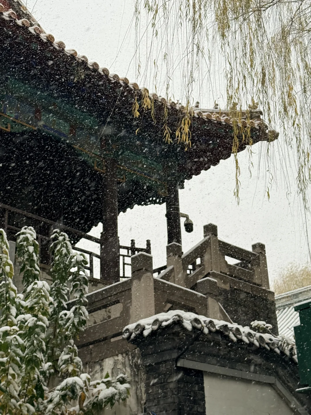 12.12 济南的初雪 杀疯了 （最全机位分享）