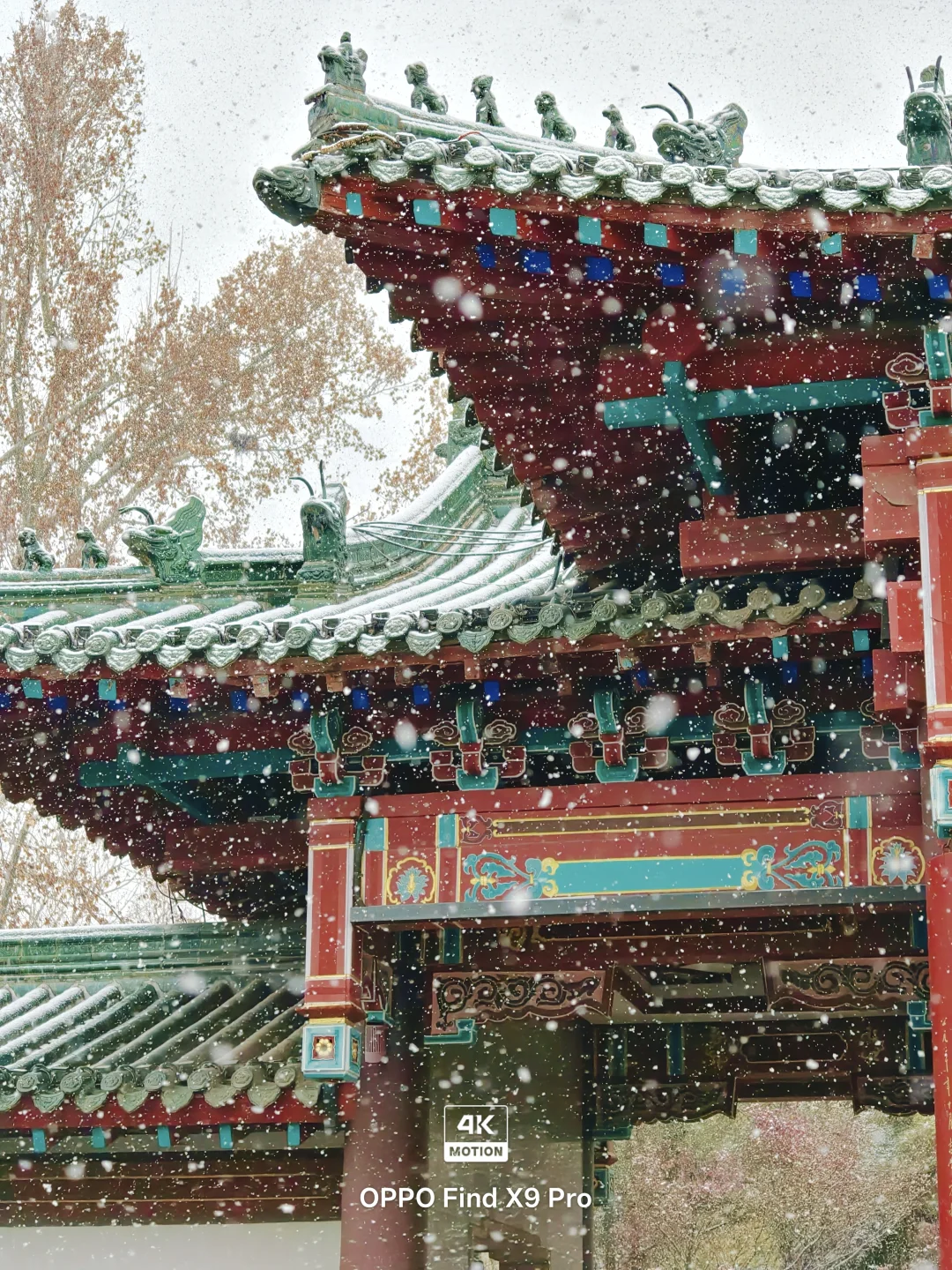 济南！！趵突泉的初雪真的杀疯了！😱