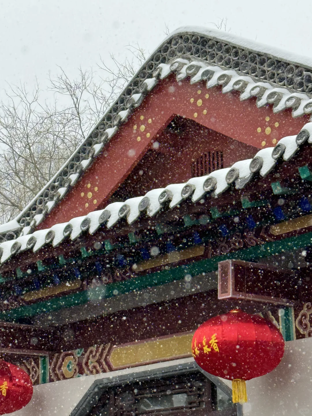 济南12.12实况，暴雪中的趵突泉已经美疯了….