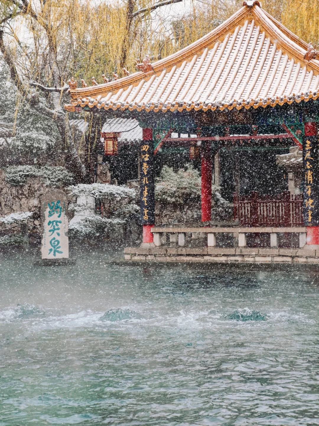 雪中趵突泉，美疯了