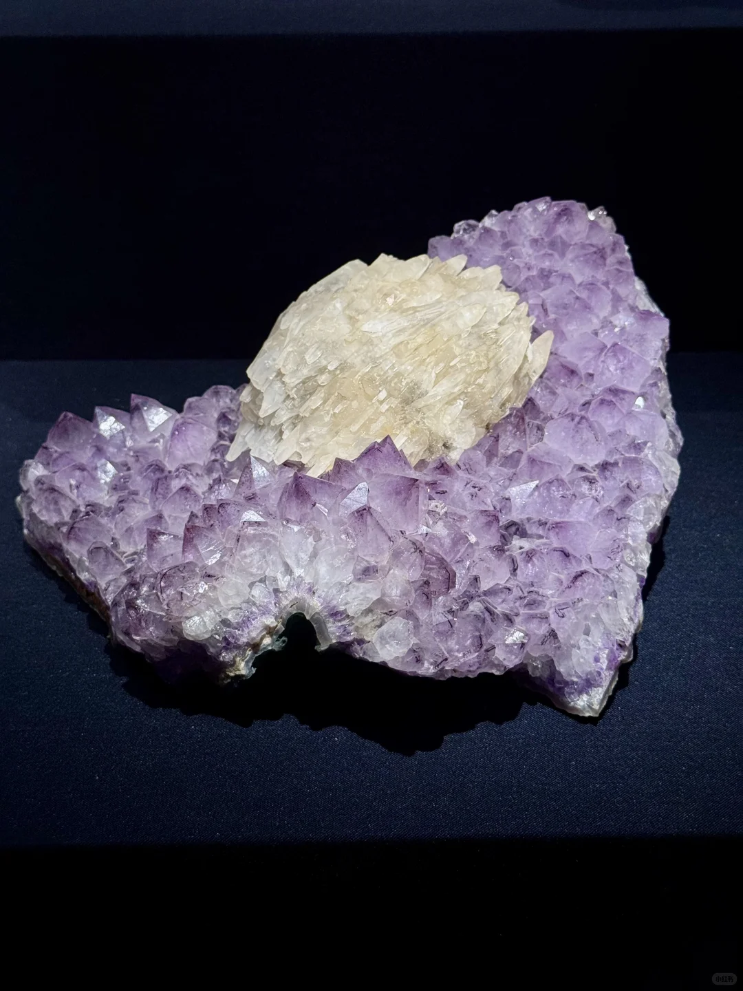 山东博物馆欠全国一个解释？？？？？？？？？？