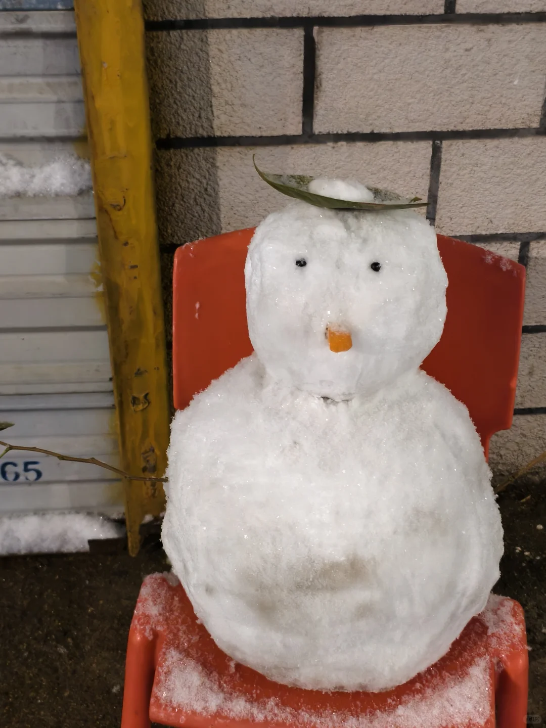 济南下雪了！！教堂太漂亮了