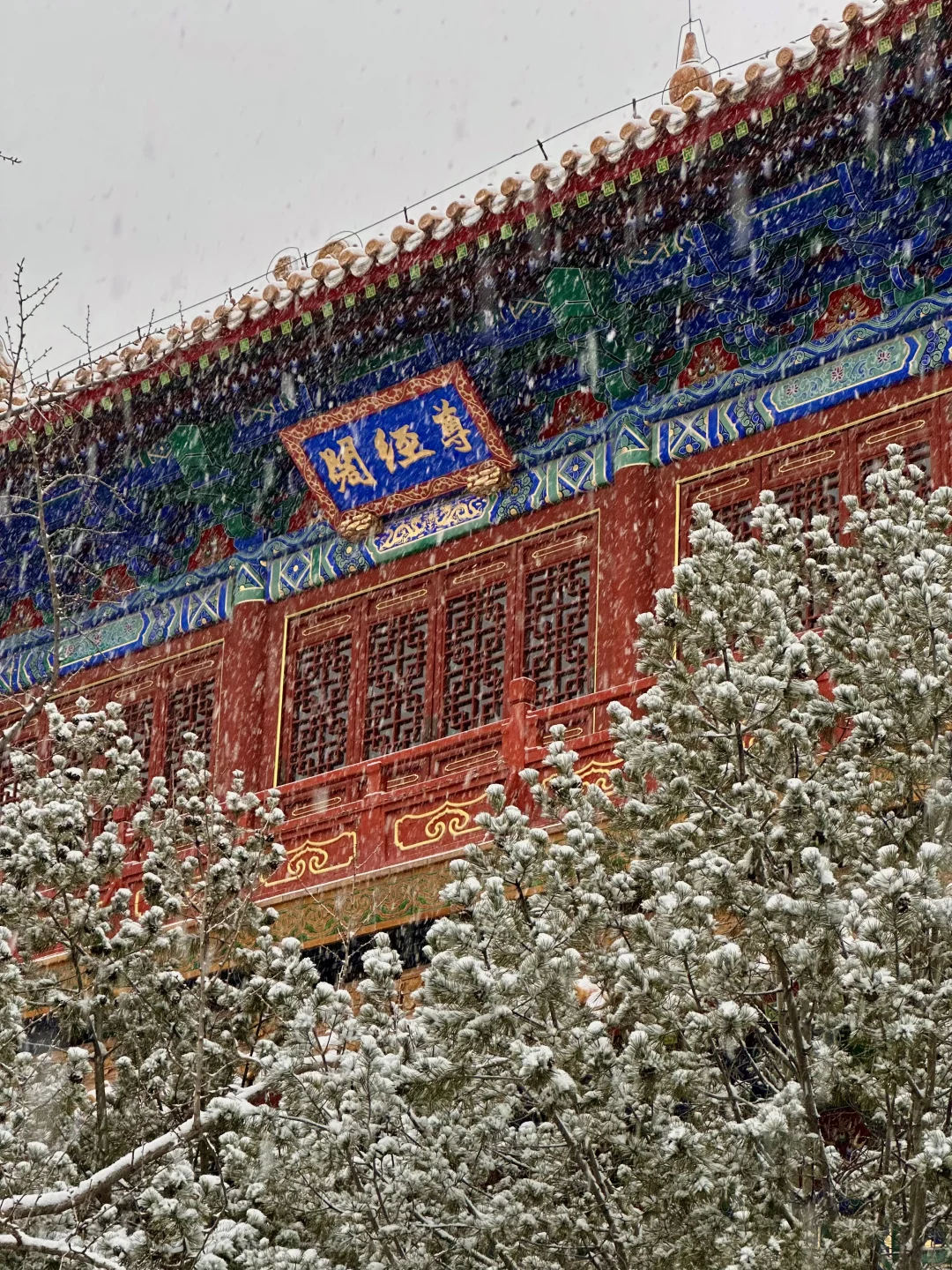 实况live！济南初雪❄️美疯了啊啊啊啊！！！！！