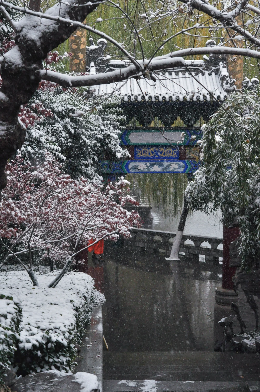 “这就是冬天的济南”