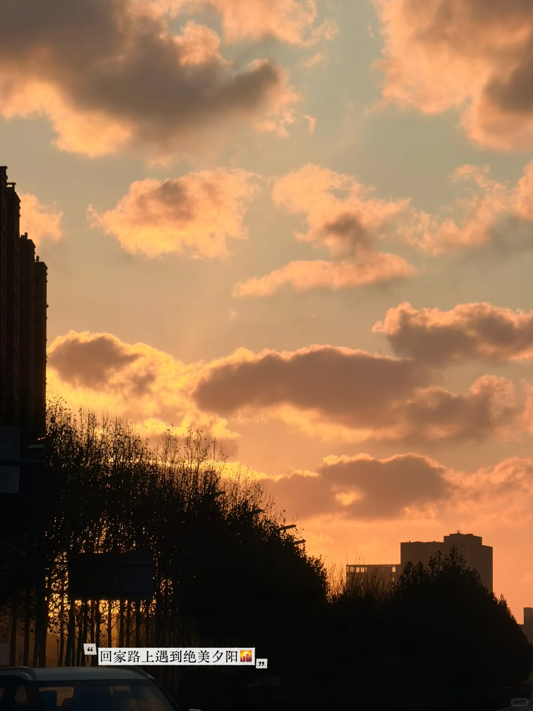 青岛·藏在世园会的教育基地
