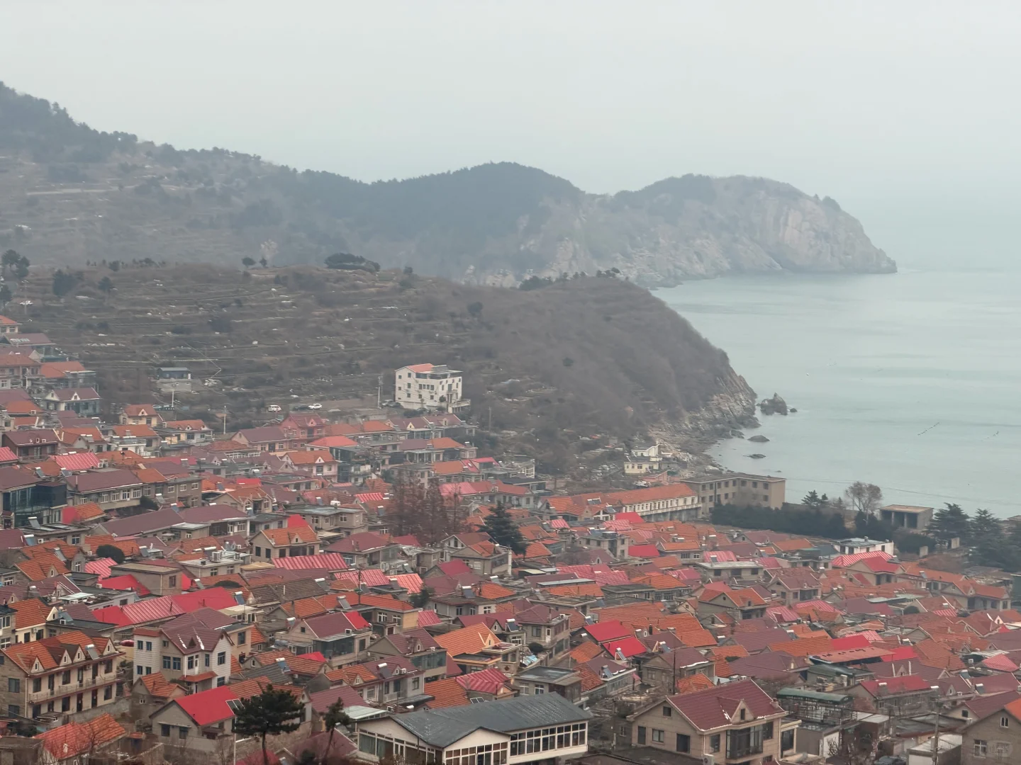 青岛三天两夜懒人路线｜老城·山海·松弛感