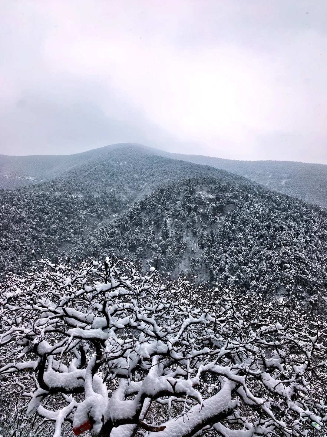 不是玉珠峰去不起，而是龙洞更有性价比