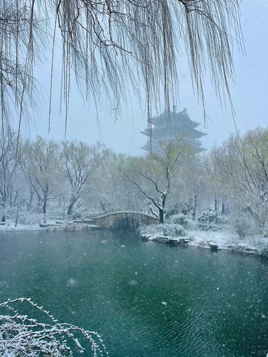 暴雪中的济南府已经美到了next level