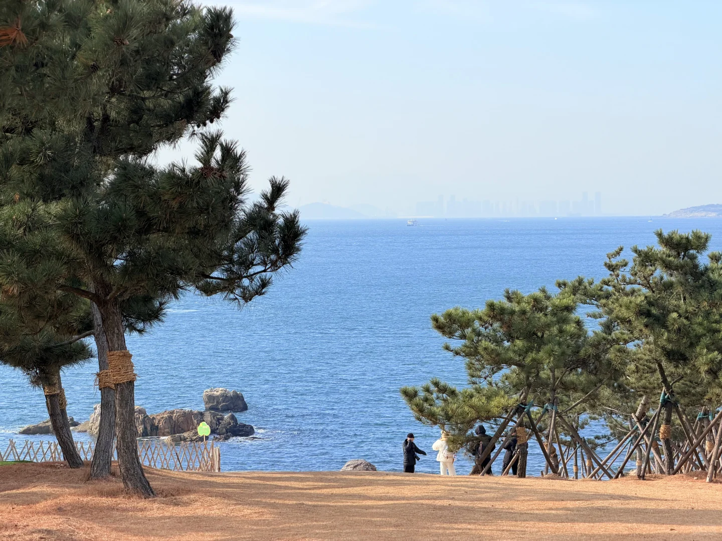 青岛三天两夜懒人路线｜老城·山海·松弛感