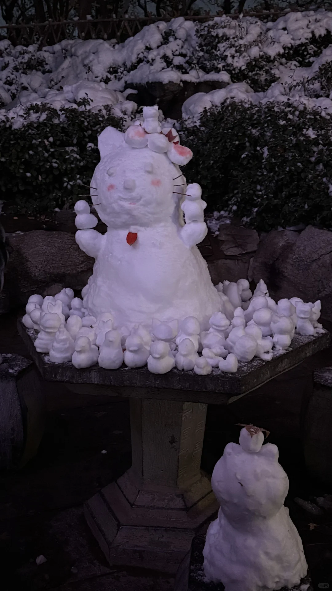 济南大明湖 大家真的太可爱了