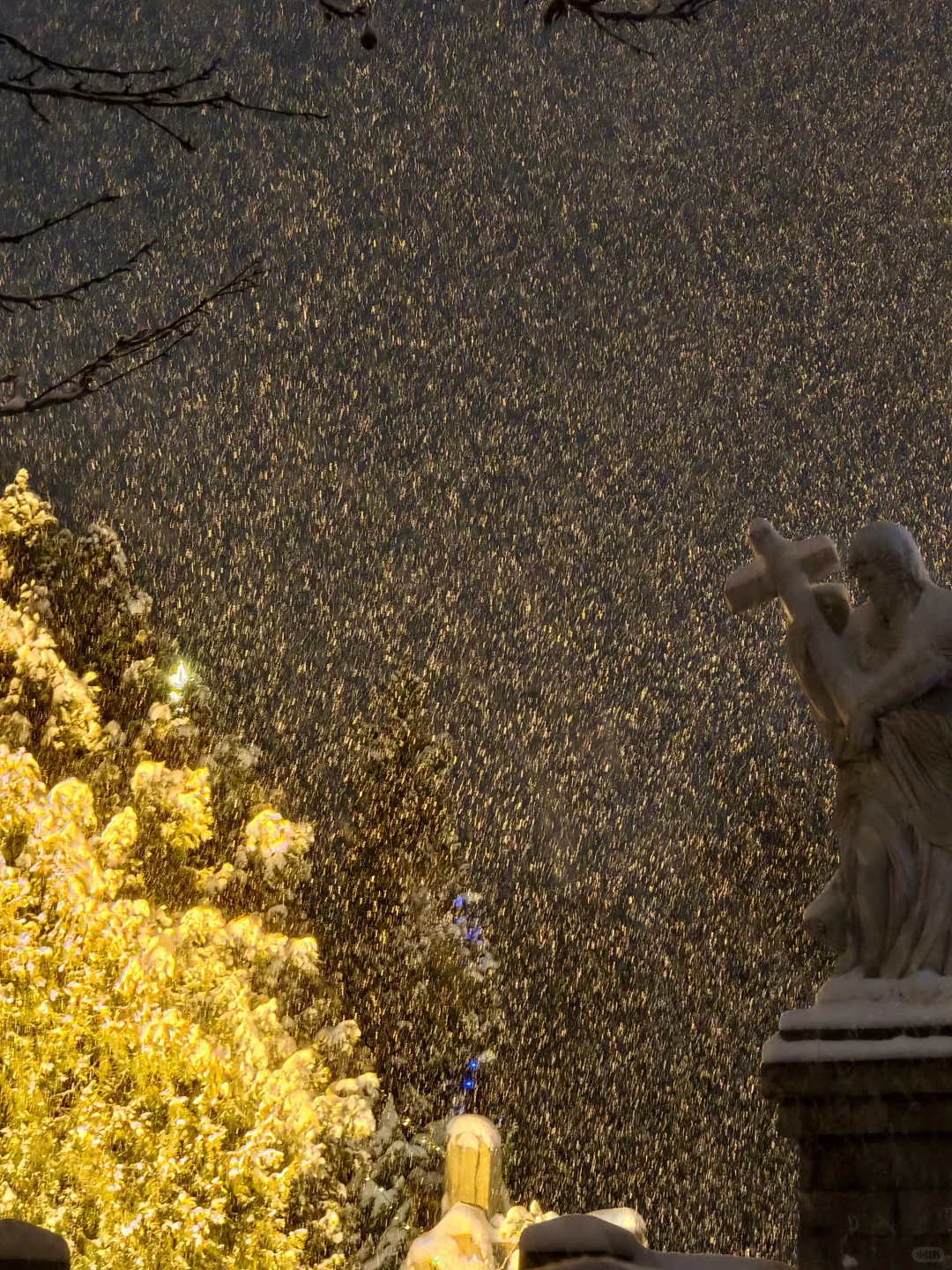 济南下雪了！！教堂太漂亮了