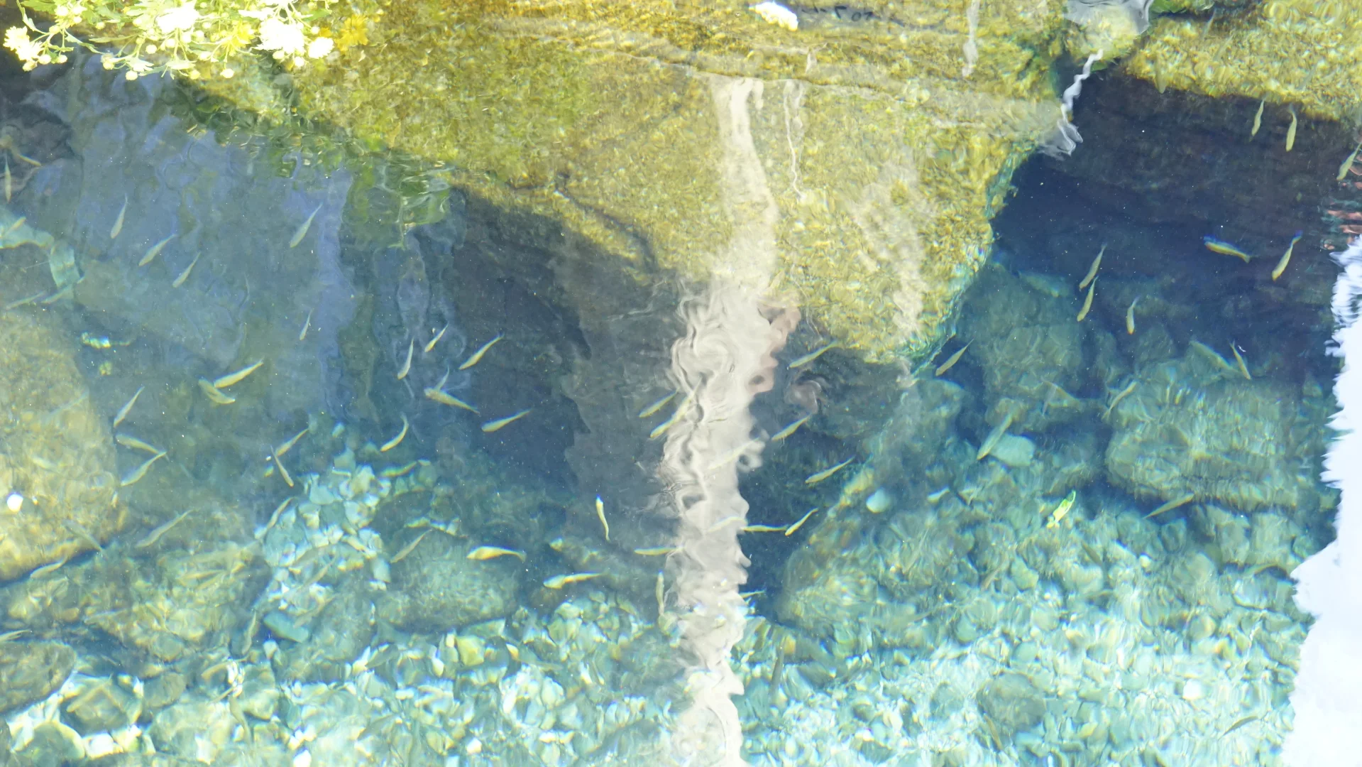 老舍没骗人秋天请到济南来看看吧