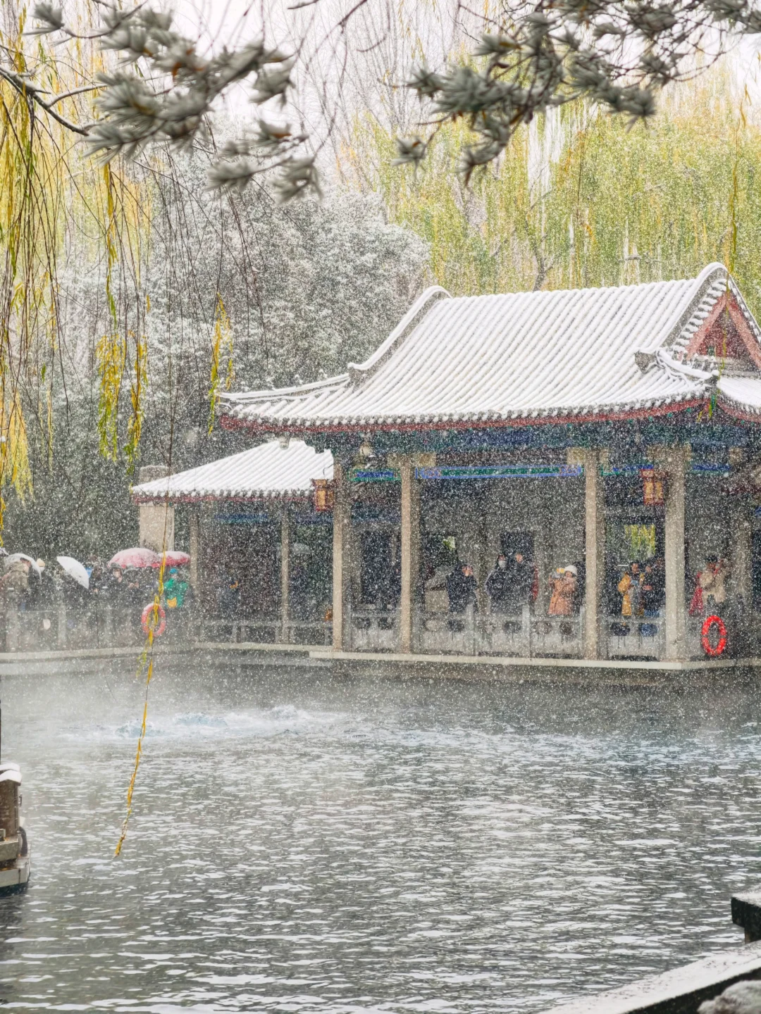 雪中趵突泉，美疯了