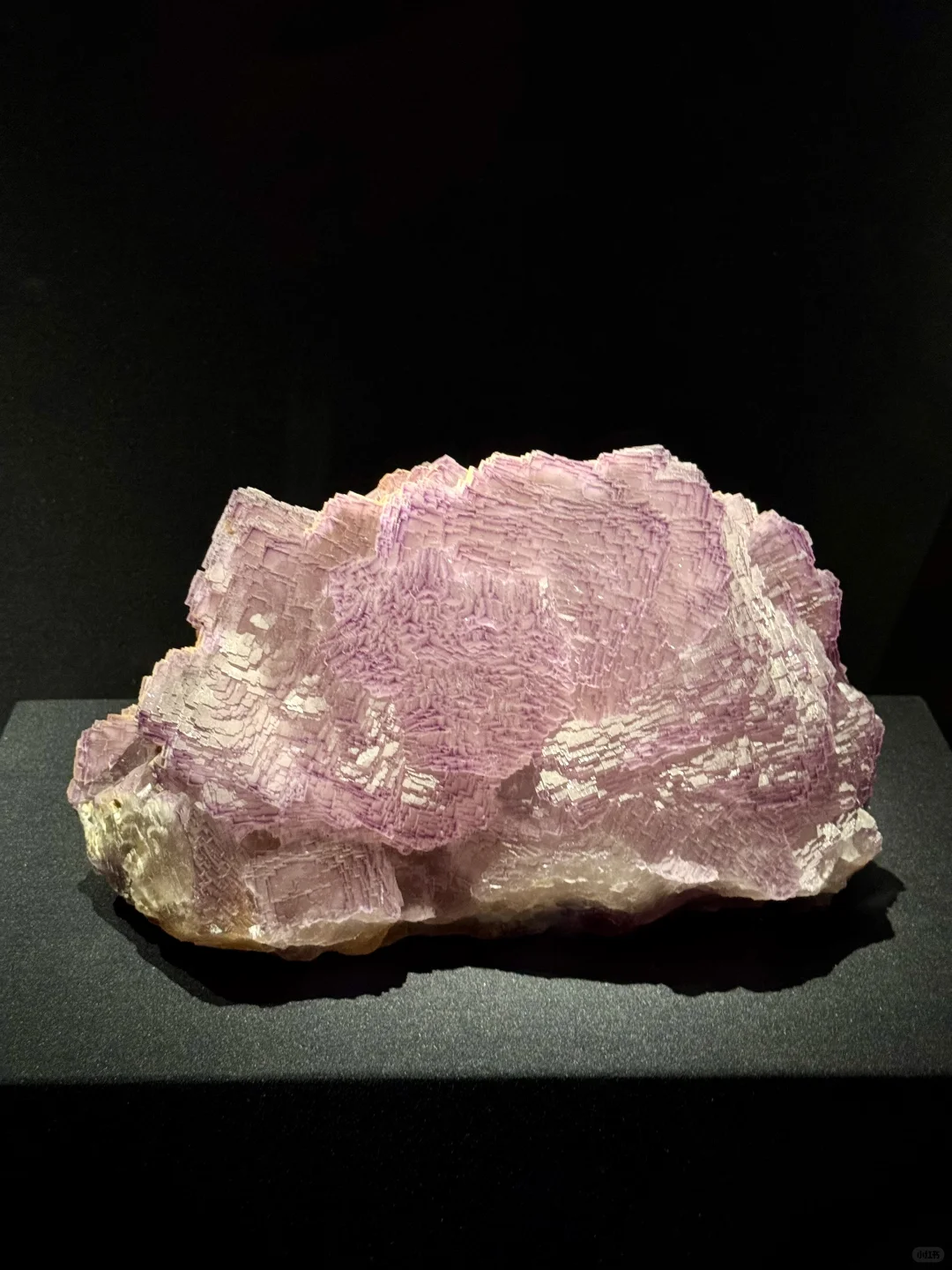 山东博物馆欠全国一个解释？？？？？？？？？？