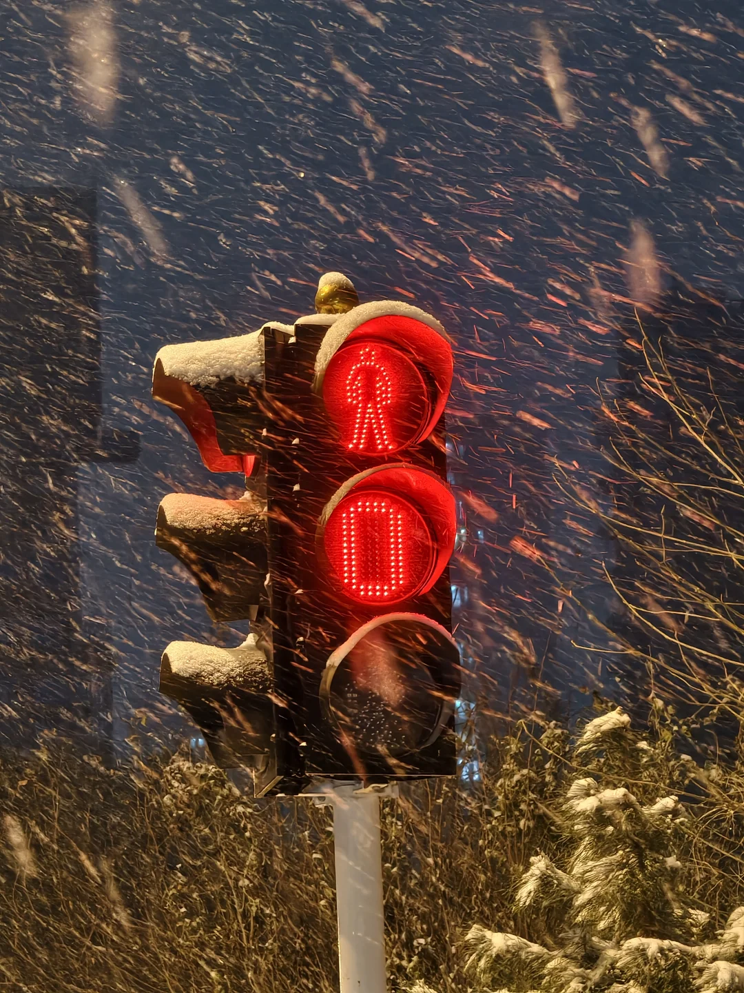 济南下雪，都拍照了吗？
