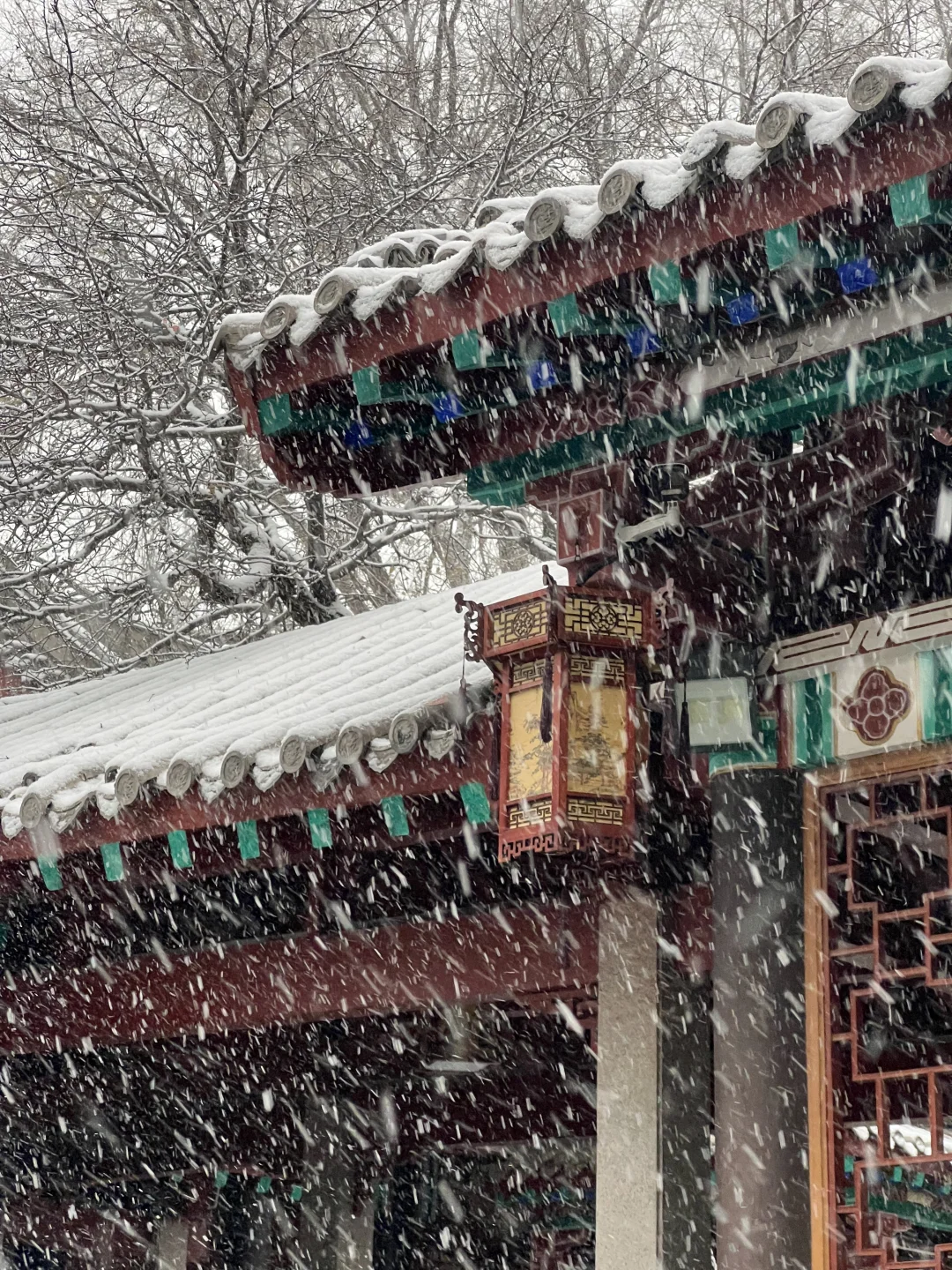 济南12.12实况。。。暴雪中的趵突泉杀疯了！！