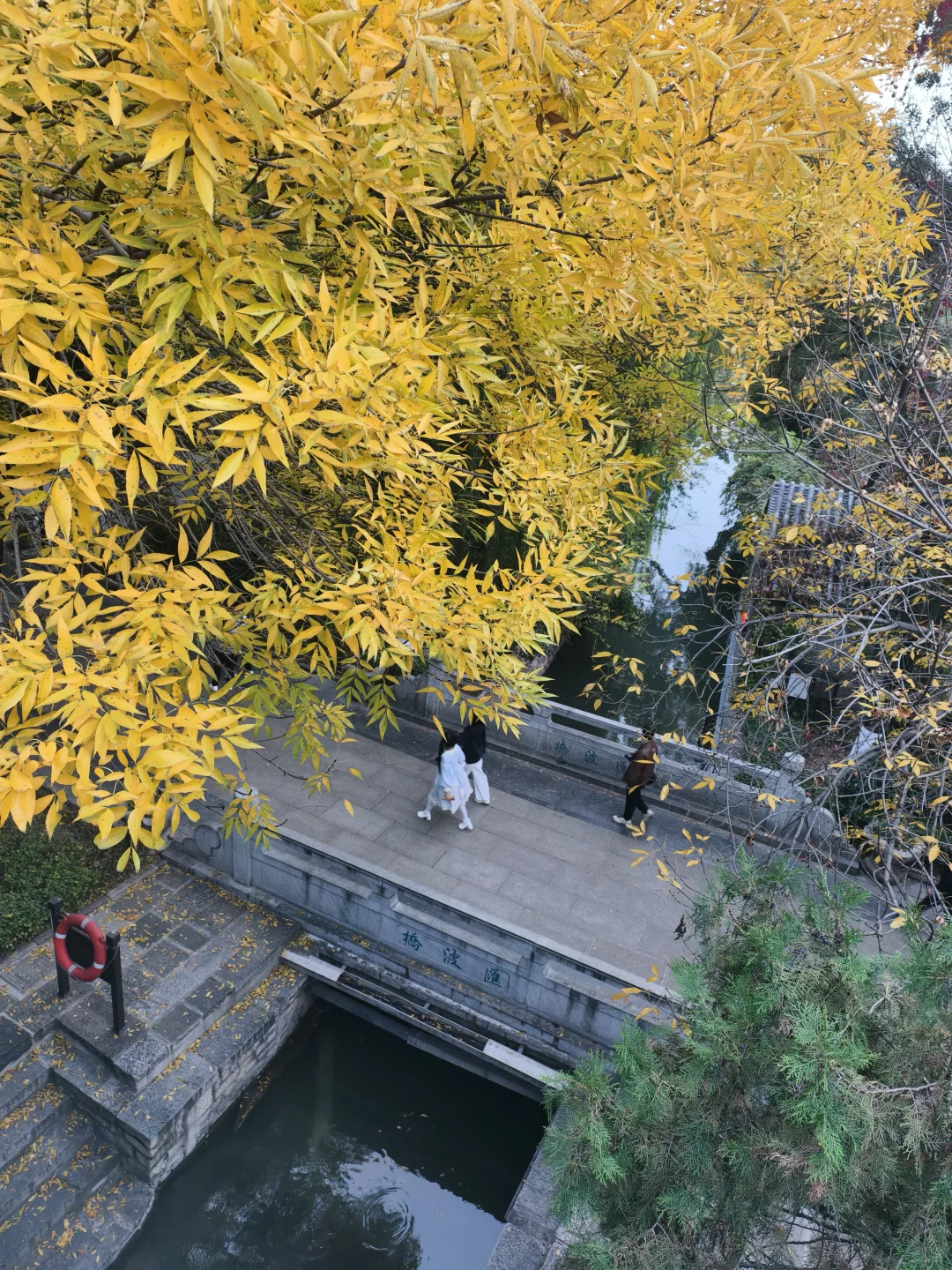 老舍没骗人秋天请到济南来看看吧